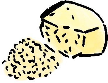 Illustration of Parmesan by the artist JG Debray